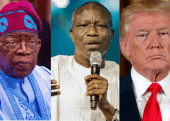 A photo combo of Tinubu, Wale Oke and Trump.