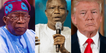 PFN Urges Trump To Collaborate With Tinubu On Insecurity, Rejects Threat Of US Military Action In Nigeria A photo combo of Tinubu, Wale Oke and Trump.