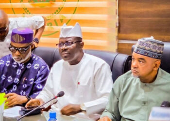 Photo of Umar Damagum