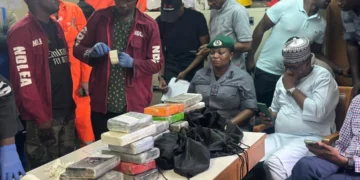NDLEA Secures Court Order to Detain Vessel, Crew After Cocaine Seizure at Apapa Port NDLEA Detains Vessel