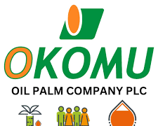 Four Nigerian Stocks Projected to Lead Market in 2026 as Top Blue-Chip Picks