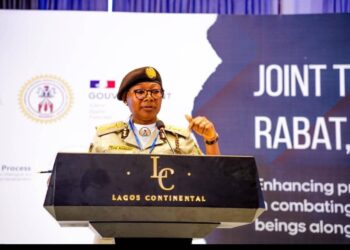 Nigeria Immigration Service Suspends Digital Passport Operations for Critical System Upgrade