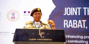 Nigeria Immigration Service Suspends Digital Passport Operations for Critical System Upgrade Nigeria Immigration Service Suspends Digital Passport Operations for Critical System Upgrade