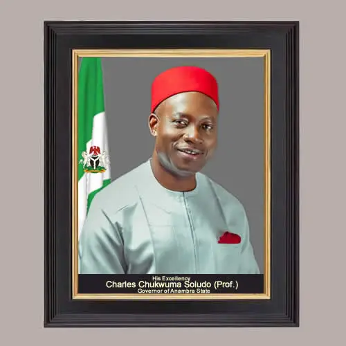official photo portrait of professor charles chukwuma soludo anambra state governor