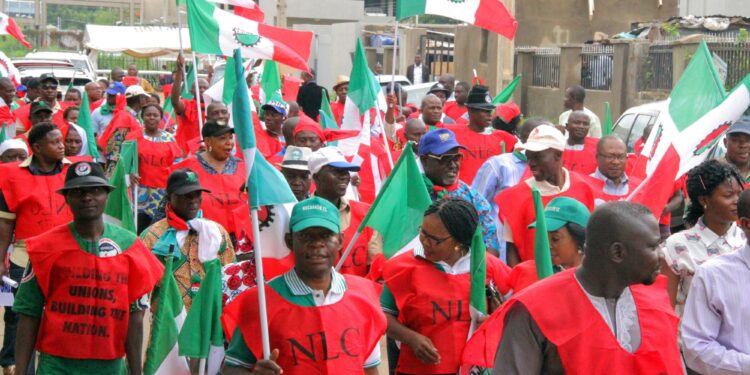 Kano NLC