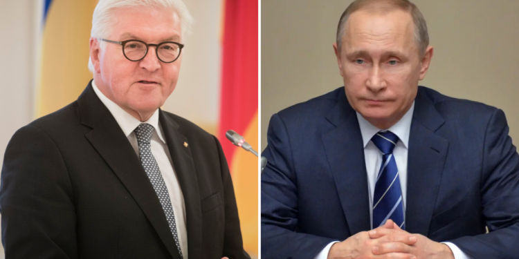 Photo combo of President Frank-Walter Steinmeier and President Vladimir Putin