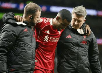 Photo of Alexander Isak