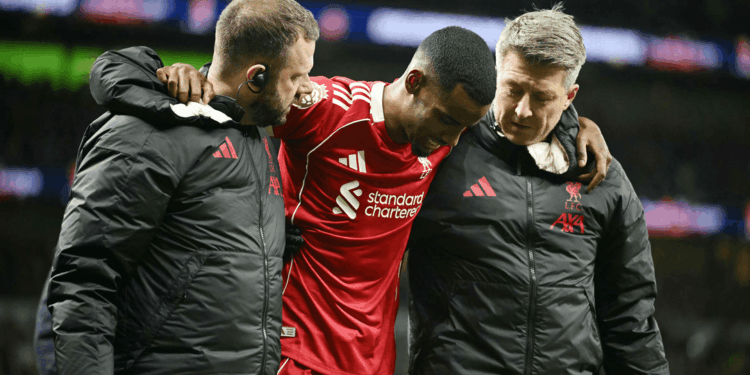 Photo of Alexander Isak