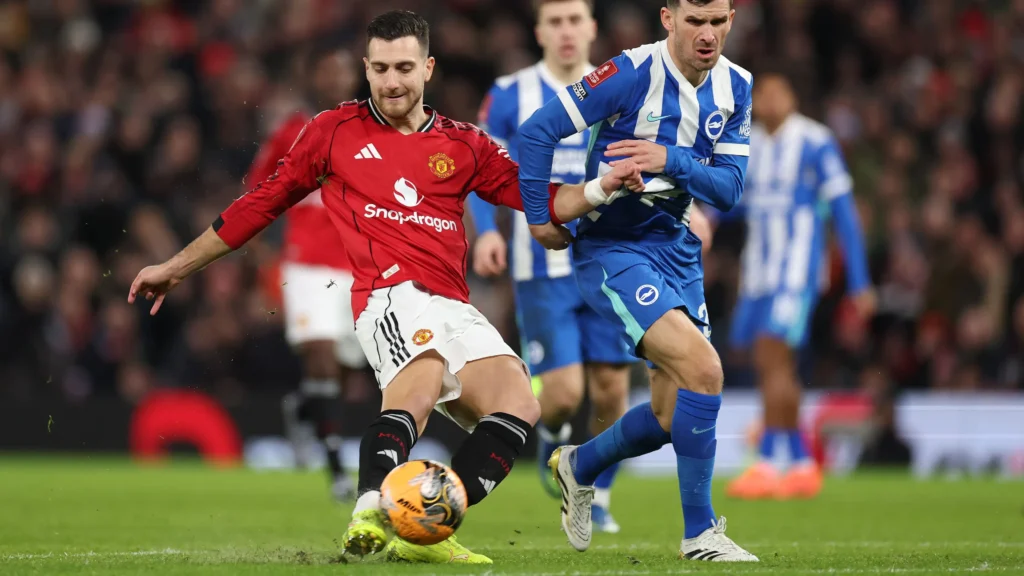 Man United vs Brighton