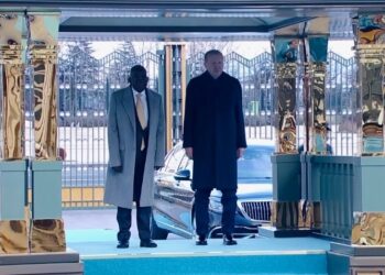 Photo of Tinubu and Erdogan