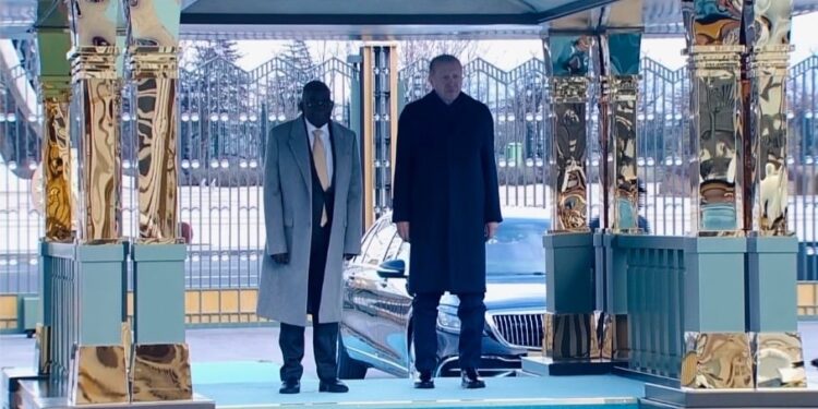 Photo of Tinubu and Erdogan