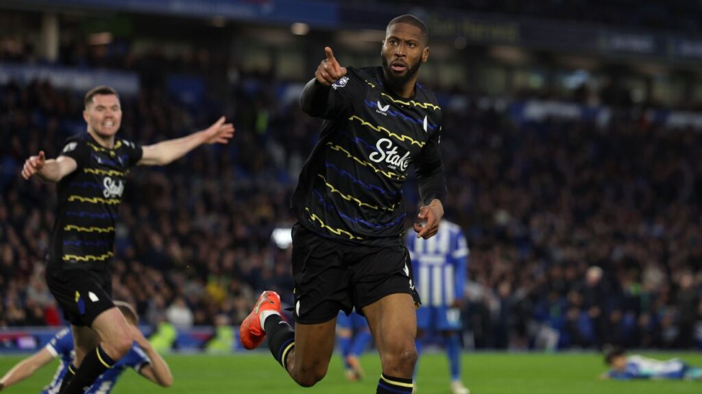 Brighton vs. Everton game