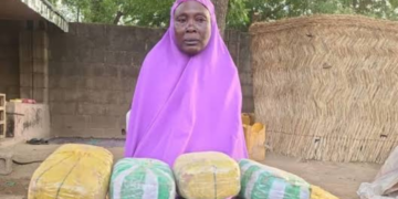Troops Arrest 65-Year-Old Woman Over Alleged Drug Supply to Boko Haram in Borno Biko Haram Supplier