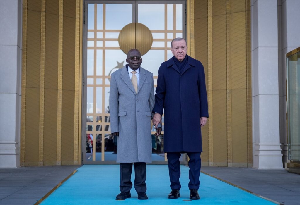 Photo of Tinubu and Erdogan