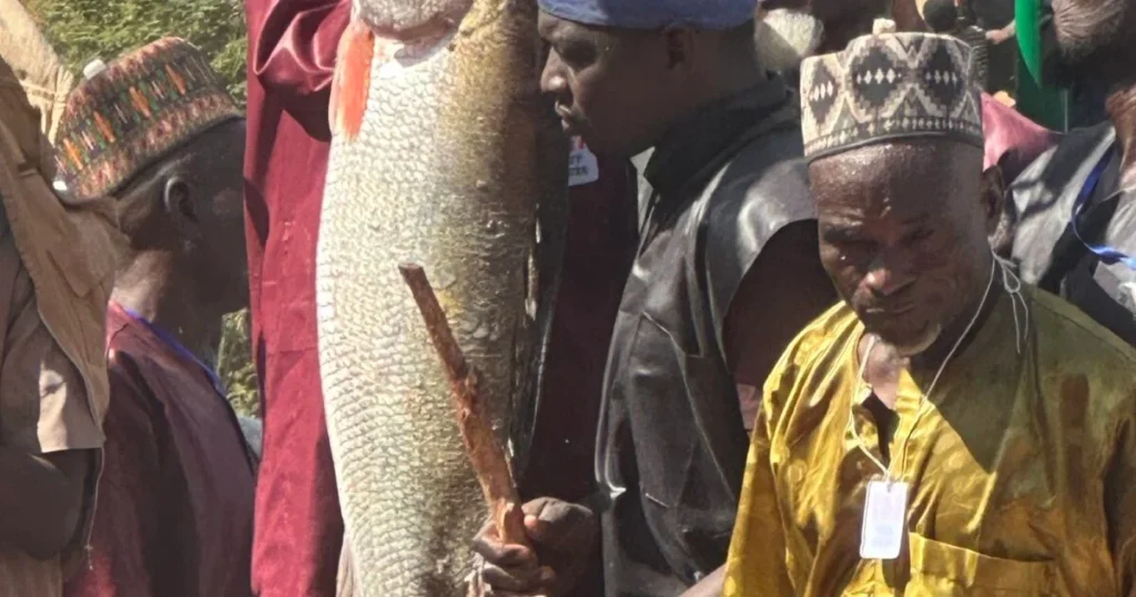 Argungu Fishing Festival