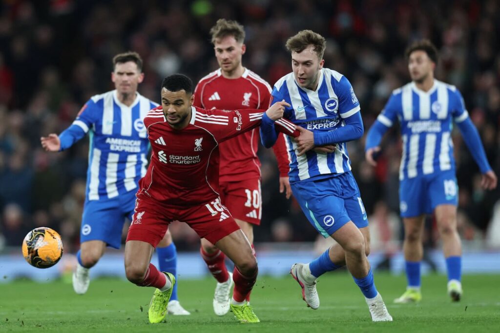 Liverpool vs Brighton