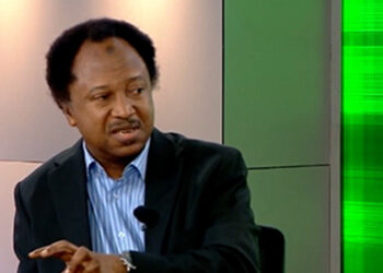Photo of Shehu Sani