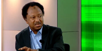 Photo of Shehu Sani