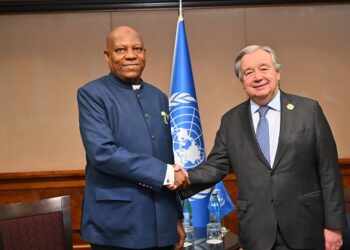 VP Shettima and Guterres