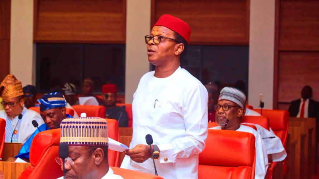 Photo of Senator Patrick Ndubueze