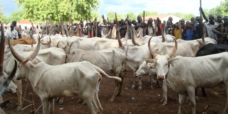 livestock in nigeria