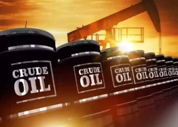 Oil