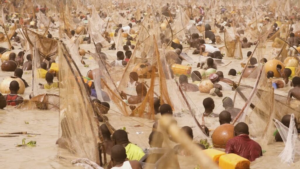 Argungu Fishing Festival