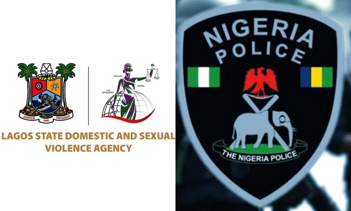 Lagos State Police Command and the Domestic and Sexual Violence Agency