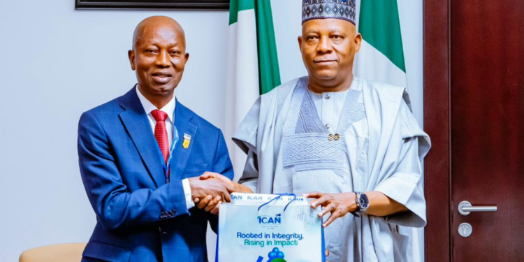 Mr. Oluropo Dada with Vice President Shettima