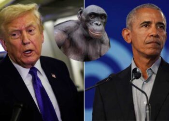 Trump, an ape and Obama