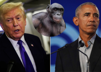 Photo combo of Trump, an ape and Obama