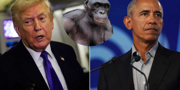 Trump, an ape and Obama