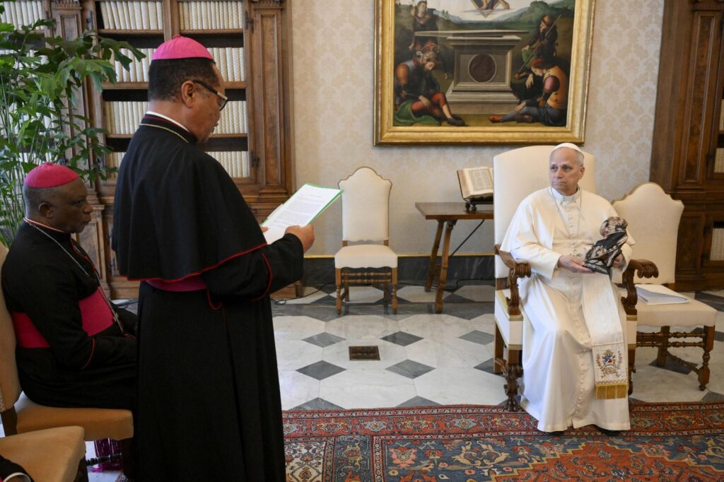 Pope Leo hosts Nigerian bishops in Rome