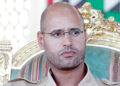 Photo of Seif al-Islam Gaddafi