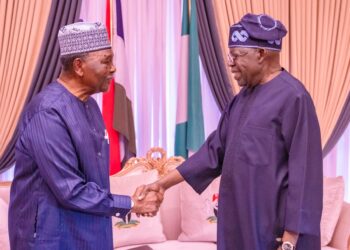 Gen Gowon visits President Tinubu
