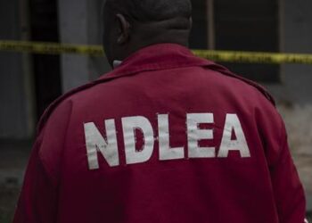 NDLEA Official