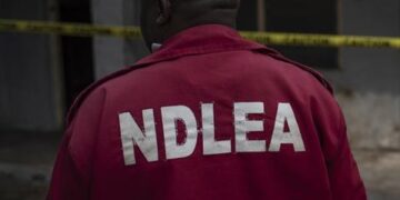 NDLEA Official