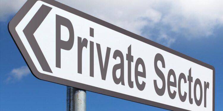 Private Sector
