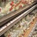 PAN Kicks Against Proposed $900m Poultry Investment Deal