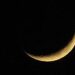 Shawwal Moon