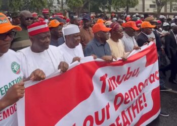 ADC Leaders Protest in INEC