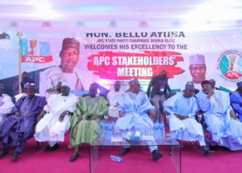 Zulum at APC stakeholders meeting