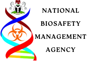 FG declares four GMO products dangerous to health