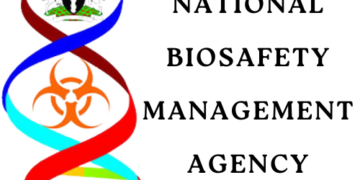 FG declares four GMO products dangerous to health FG declares four GMO products dangerous to health