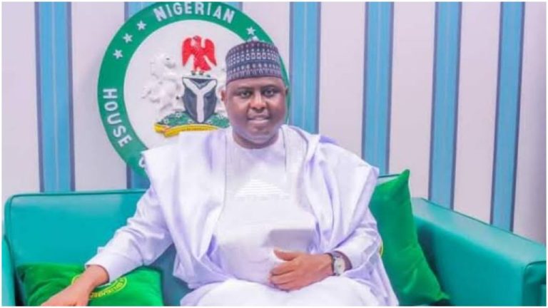 List of Tinubu's Cabinet Members Who Have Resigned namdas 1024x576 1 768x432 1
