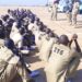 Repentant Terrorists