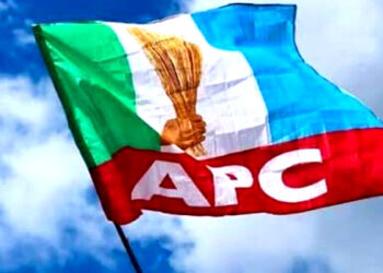 APC Flag