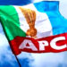 APC Flag