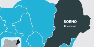 Cholera Kills 27, Infects 2,715 Across Borno State Cholera