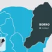 Cholera Kills 27, Infects 2,715 Across Borno State Cholera